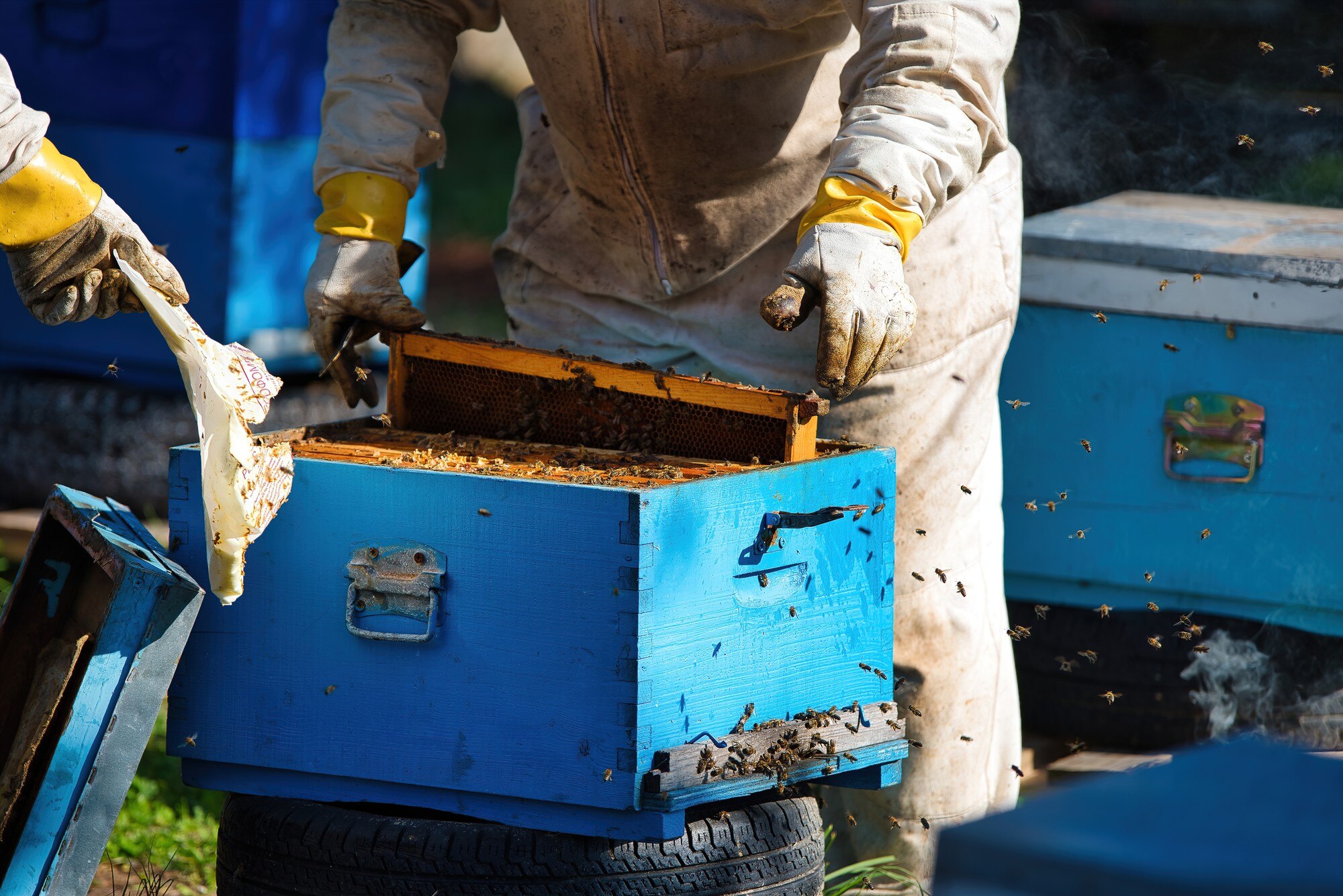 honey extraction