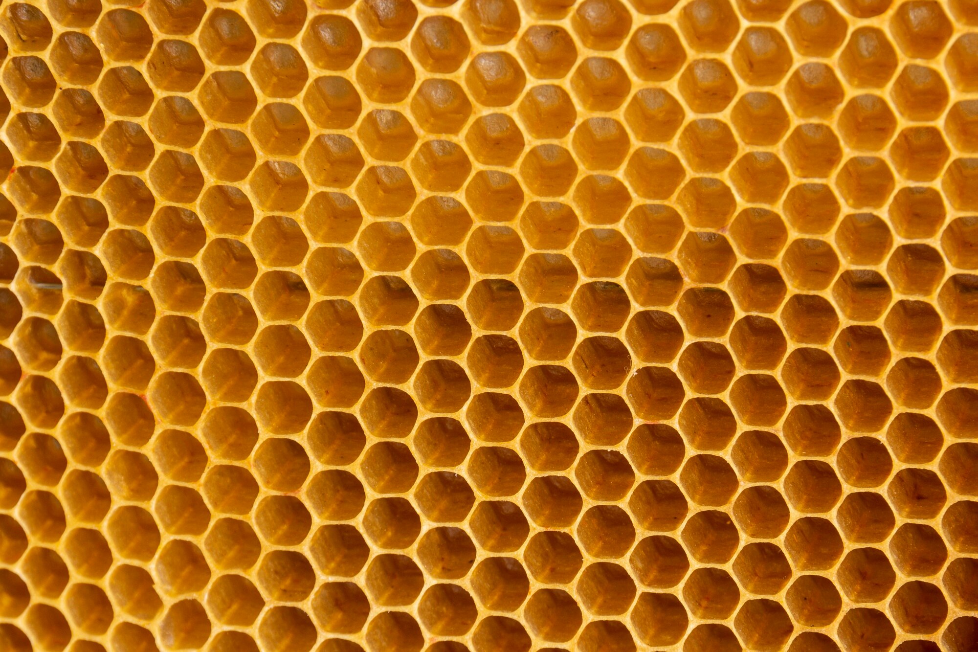 honeycomb